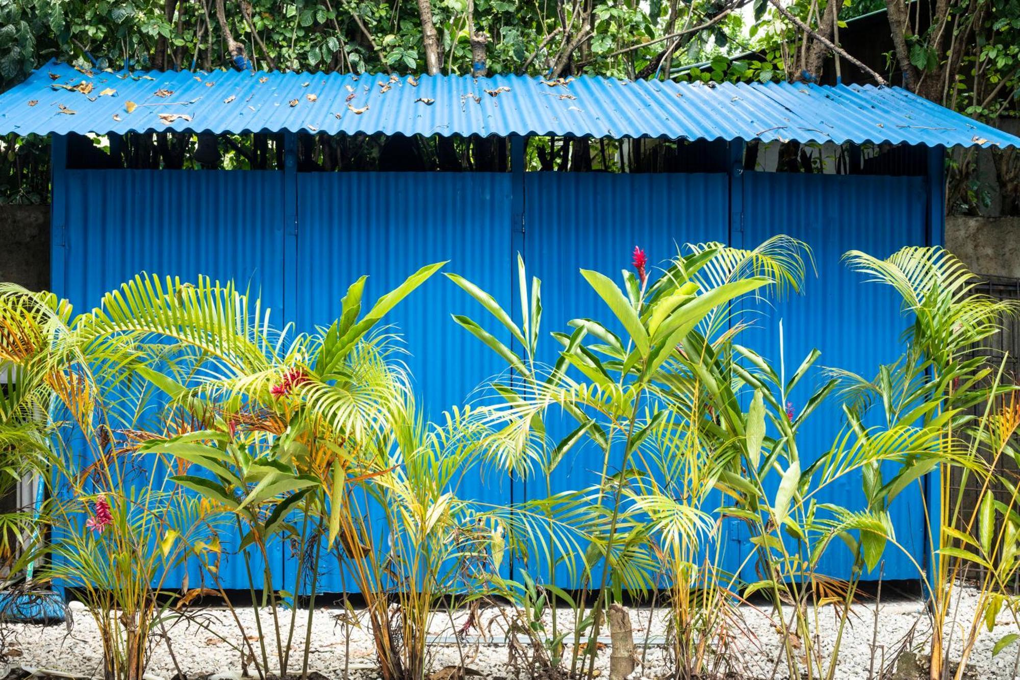 Argdivan Beach Hostel Samara Luaran gambar