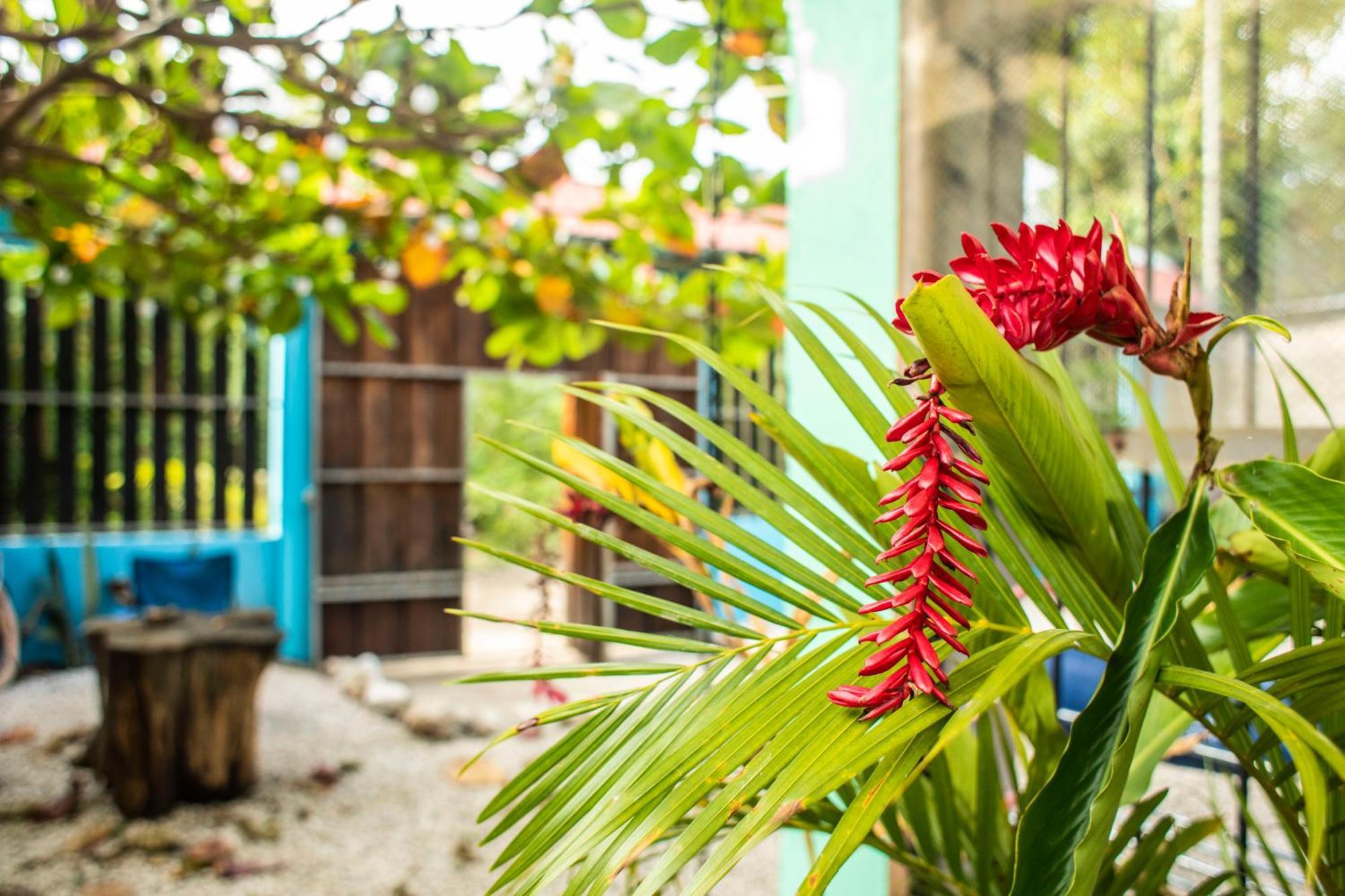 Argdivan Beach Hostel Samara Luaran gambar